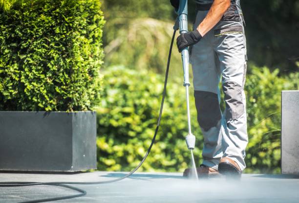 Best Driveway Pressure Washing  in Country Squire Lakes, IN