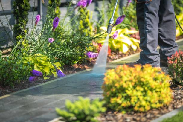 Best Parking Lot and Garage Cleaning  in Country Squire Lakes, IN
